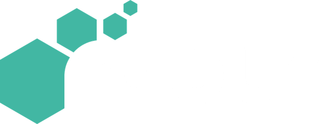 Robur Logo